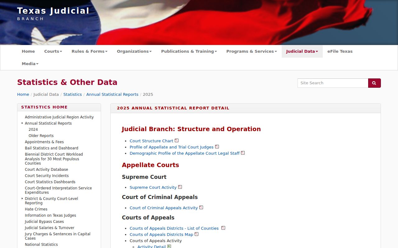 Texas FY2025 court docket activity categories and statewide court statistics