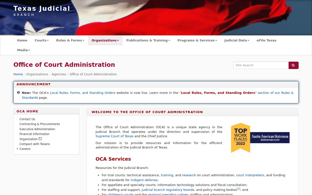 Texas Office of Court Administration and statewide court docket services